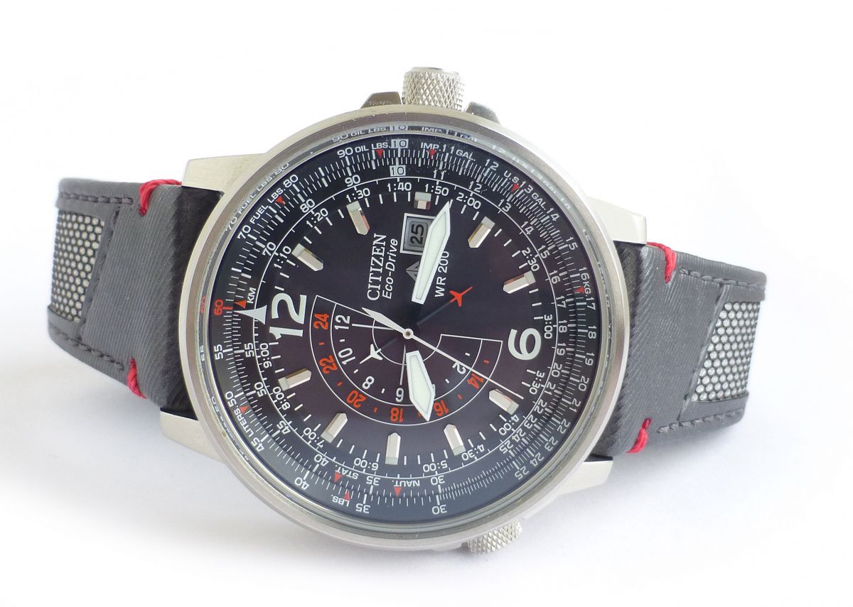 citizen nighthawk pilot