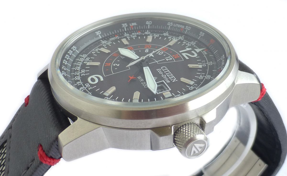 citizen nighthawk pilot