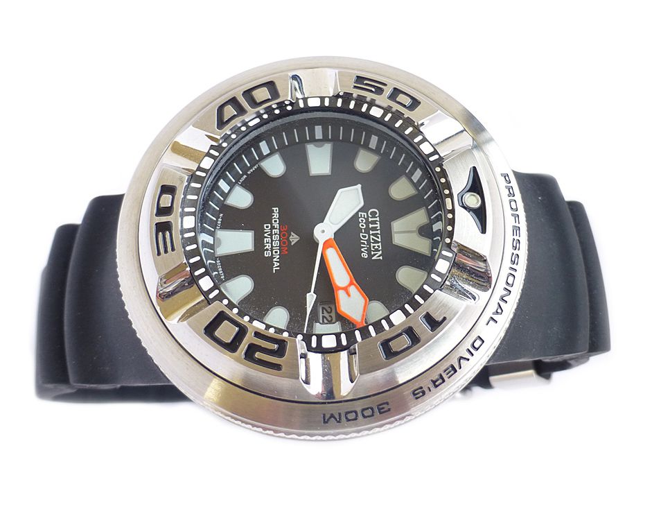 citizen ecozilla 300m