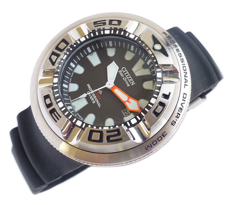 citizen ecozilla 300m